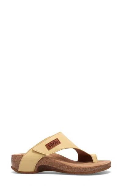 Taos Loop Toe Loop Sandal In Brown