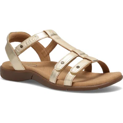 Taos Trophy 2 Sandal In Brown