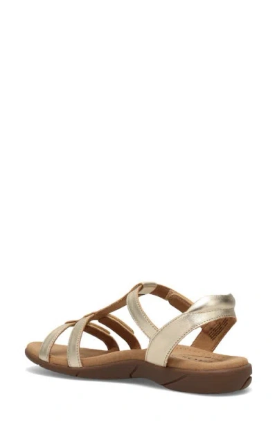 Taos Trophy 2 Sandal In Brown