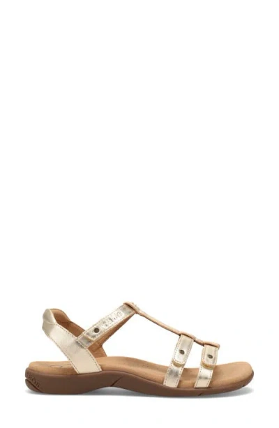 Taos Trophy 2 Sandal In Brown