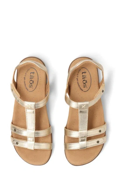 Taos Trophy 2 Sandal In Brown