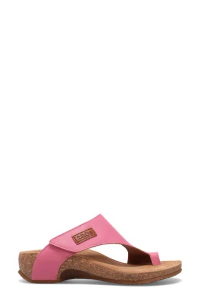 Taos Loop Toe Loop Sandal In Pink