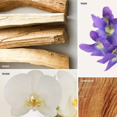 Dusa Fragrances Santal