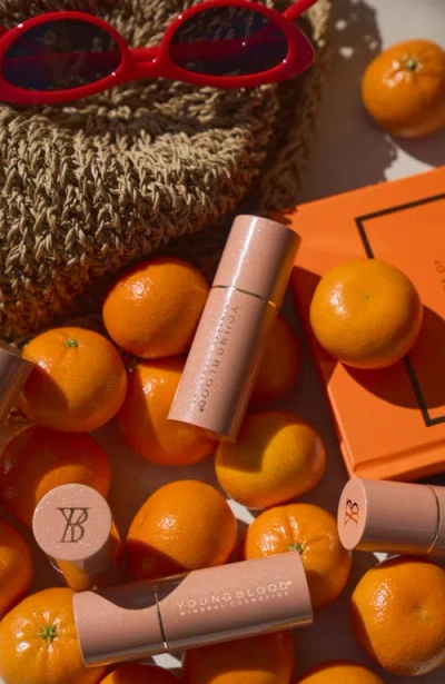 Youngblood Mineral Cosmetics Pro Glow Crème Highlighter Stick In Pink