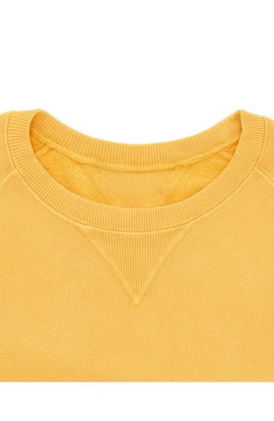 Fortela Harvard Brushed Jersey Raglan Sleeve Sweatshirt In Yellow