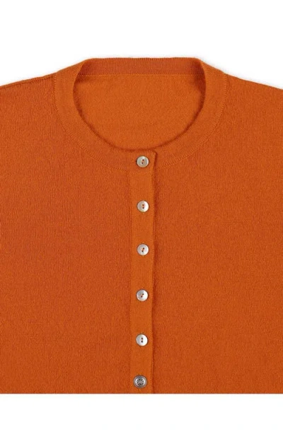 Fortela Lou Cashmere Henley Knit In Gray