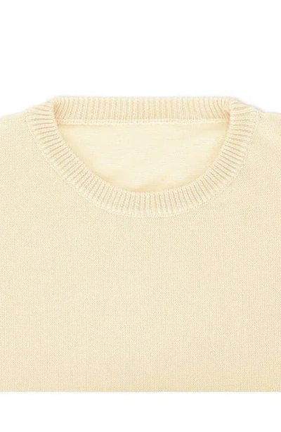 Fortela Rover Cotton Crewneck Sweater In Neutral