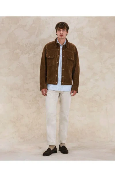 Fortela Buzz Suede Leather Jacket In Brown