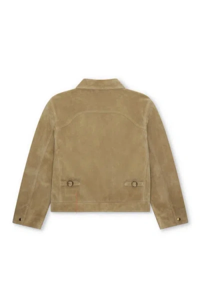 Fortela Rhode Suede Leather Jacket In Brown