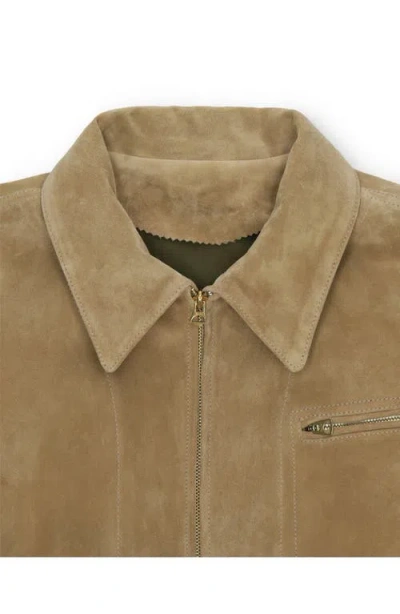 Fortela Rhode Suede Leather Jacket In Brown