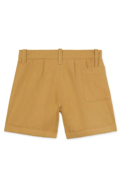 Fortela Bedford Cotton Bermuda In Brown