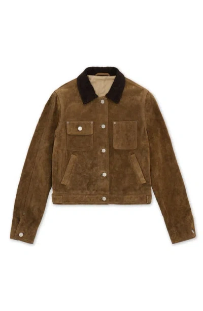 Fortela Fedra Suede Leather Jacket In Brown