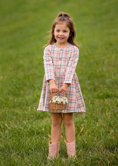 Mabel + Honey Mabel And Honey Phoebe Toddler Long-sleeve Plaid Dress With Wood-style Buttons, Pink. In Neutral