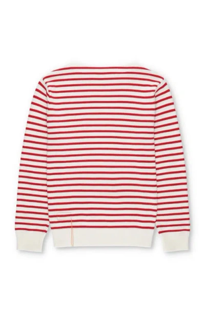 Fortela Noah1 Cotton Ribbed Sweater In Multi