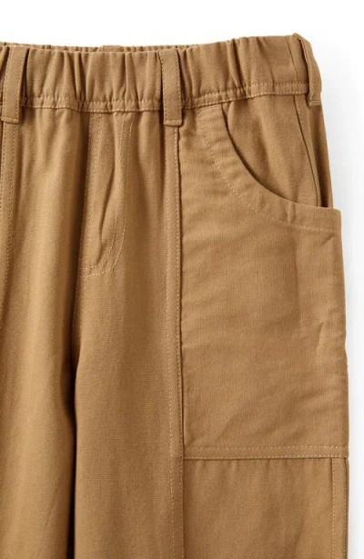 Cotton On Kids Kid's Patrick Panel Pant In Brown