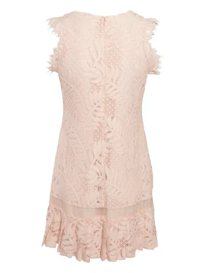 Pre-owned Alexis Lace Shift Dress In Pink