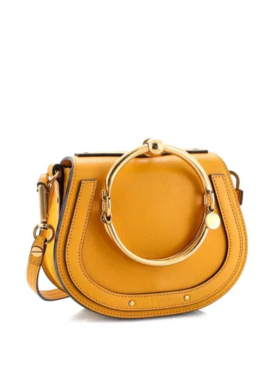 Pre-owned Chloé Nile Leather Small Crossbody Bag In Orange