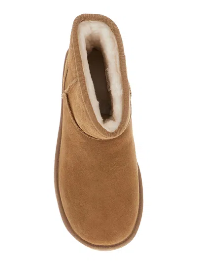 Ugg Classic Mini Platform Beige Ankle Boots With Platform In Suede Woman In Brown