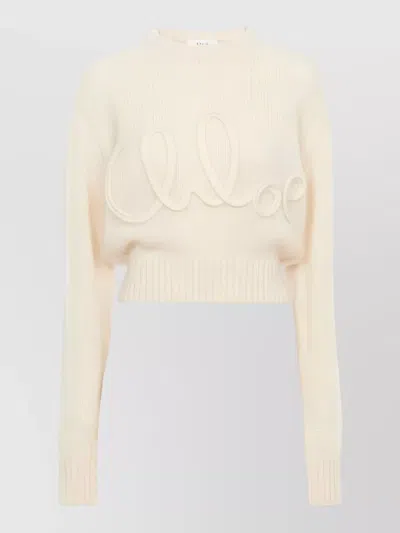 Chloé Cropped Long Sleeve Knitwear Crew Neck In Multi