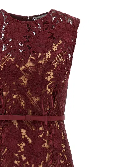 Self-portrait Burgundy Guipure Lace Midi Dresses Bordeaux In Red