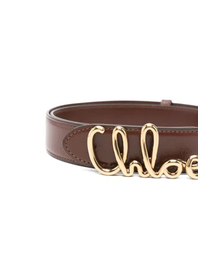 Chloé Iconic Leather Belt In Brown