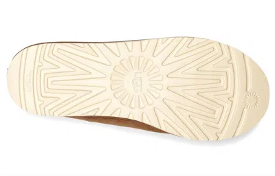 Ugg Tasman Chestnut X Neighborhood 'chestnut' In Brown