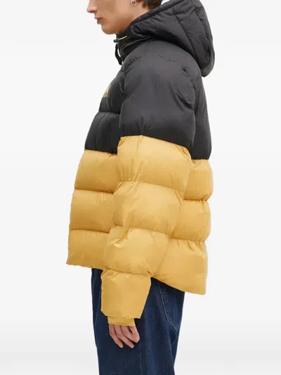 Helly Hansen Hooded Logo Padded Jacket In Black