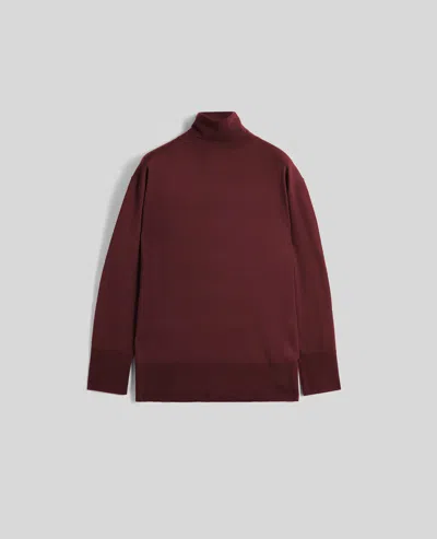 Aspesi Merino Wool Turtleneck Sweater In Brown