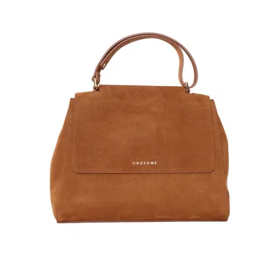 Orciani Handbag In Brown