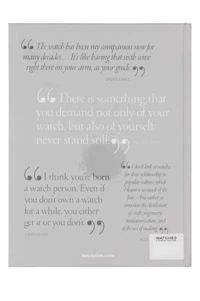 Assouline Watches A Guide By Hodinkee In Multi