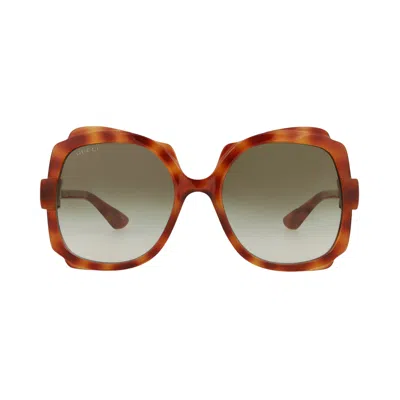 Pre-owned Gucci Round-frame Injection Sunglasses 'havana Brown' | Women's Size Onesize