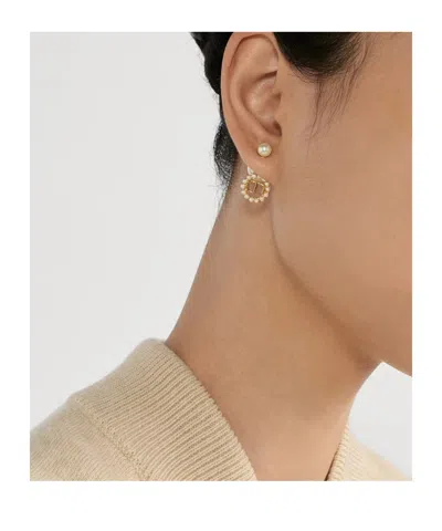 Dior Tribales Earrings In Brown