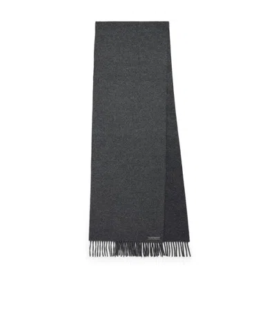 Balenciaga Women's Scarf In Grey In Brown