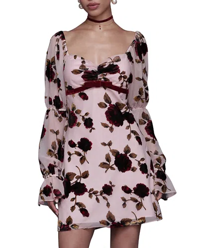 Avec Les Filles Victorian Sleeve Floral Mini Dress In Pink