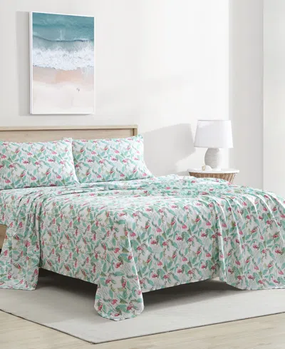 Beatrice Home Fashions Coastal Printed 4-pc. Sheet Set, Queen In Green