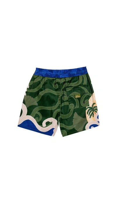 Agua Bendita Nick Thamar Swim Short In Multi