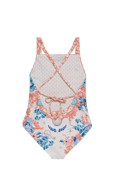 Agua Bendita Amina Sereia One Piece Swimsuit In Multi