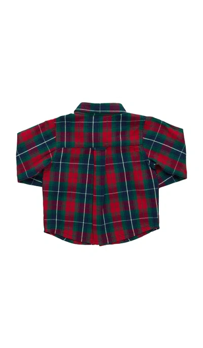 Pink Chicken Boys Jack Shirt In Red