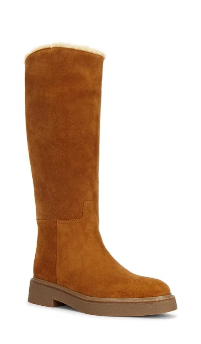 Jeffrey Campbell Zabini Boot In Brown