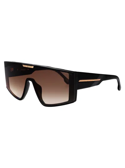 Carrera Black Brown Acetate Sunglasses In Brown