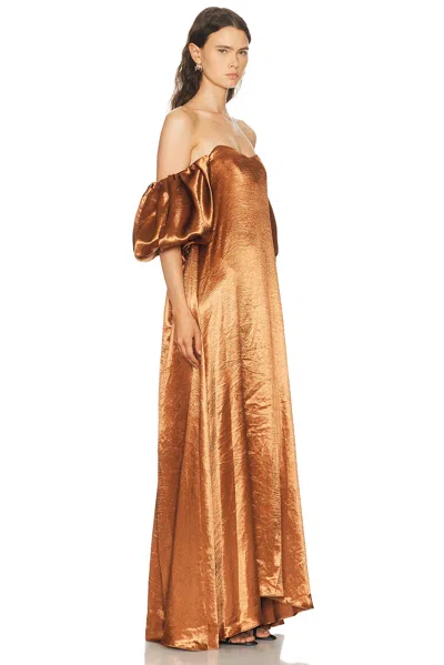 Caroline Constas Palmer Gown In Brown