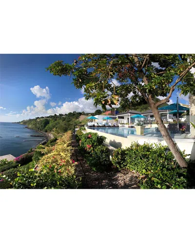 Sunset Reef St. Kitts : 25% Off Stays