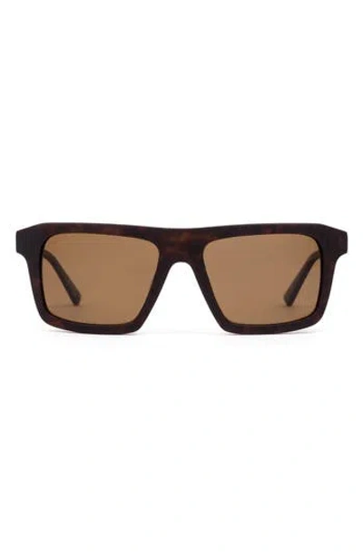 Sito Shades Gt 59mm Polarized Square Sunglasses In Brown