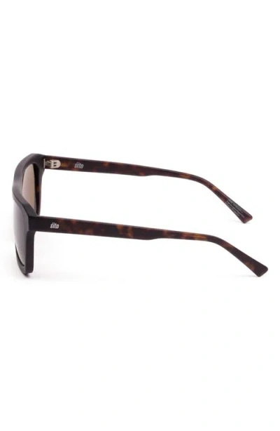 Sito Shades Gt 59mm Polarized Square Sunglasses In Brown
