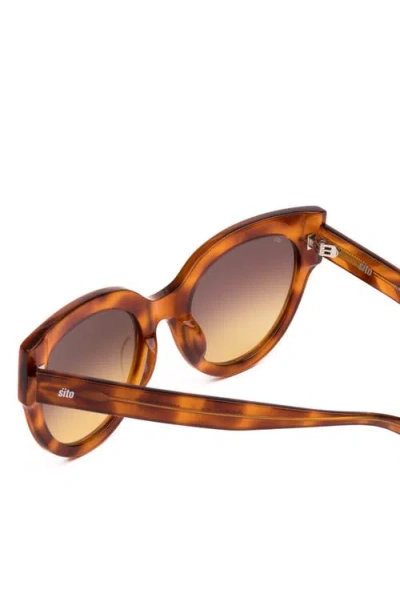 Sito Shades Good Life 54mm Gradient Round Sunglasses In Brown