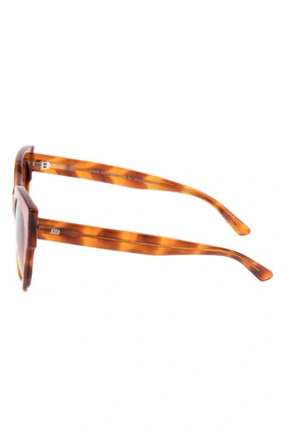 Sito Shades Good Life 54mm Gradient Round Sunglasses In Brown