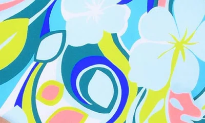 Citrus Hibiscus Scoop Neck One-piece Swimsuit In Blue