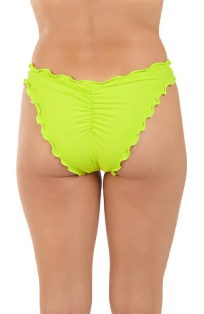 Citrus Merrow Hipster Bikini Bottoms In Green