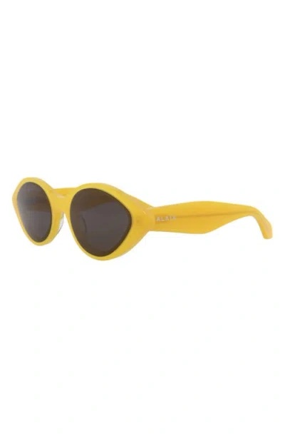 Alaïa Cat Eye-frame Recycled Acetate Sunglasses