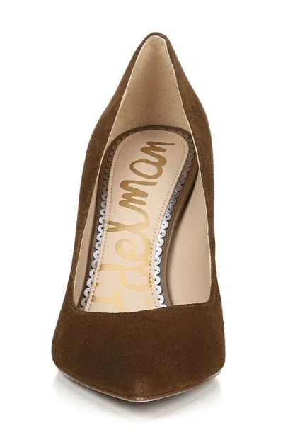 Sam Edelman Hazel Pointed Toe Pump In Brown